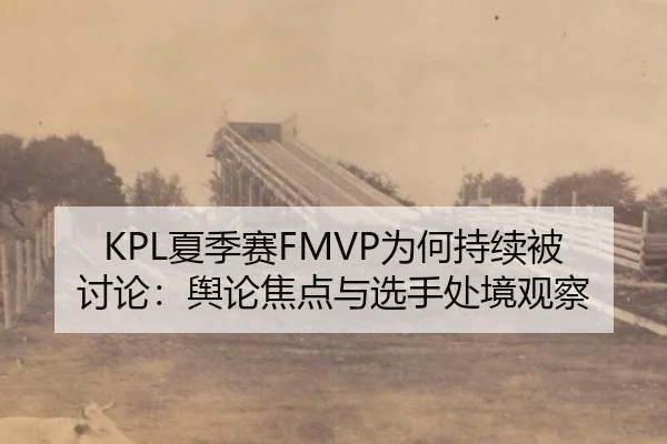 KPL夏季赛FMVP为何持续被讨论：舆论焦点与选手处境观察